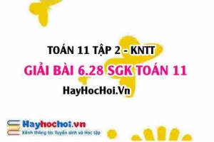 Bài 6.28 SGK Toán 11 Tập 2 Kết nối tri thức